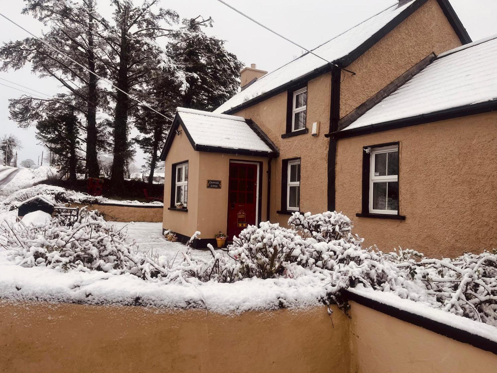 Daffodil Lodge Sligo Exterior photo